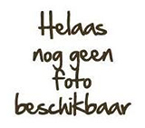 Paardebloem Thee